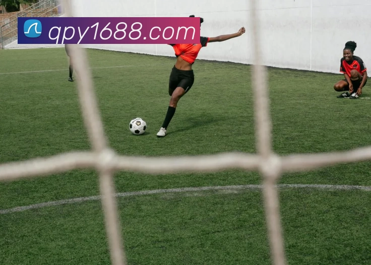 App Interface Preview