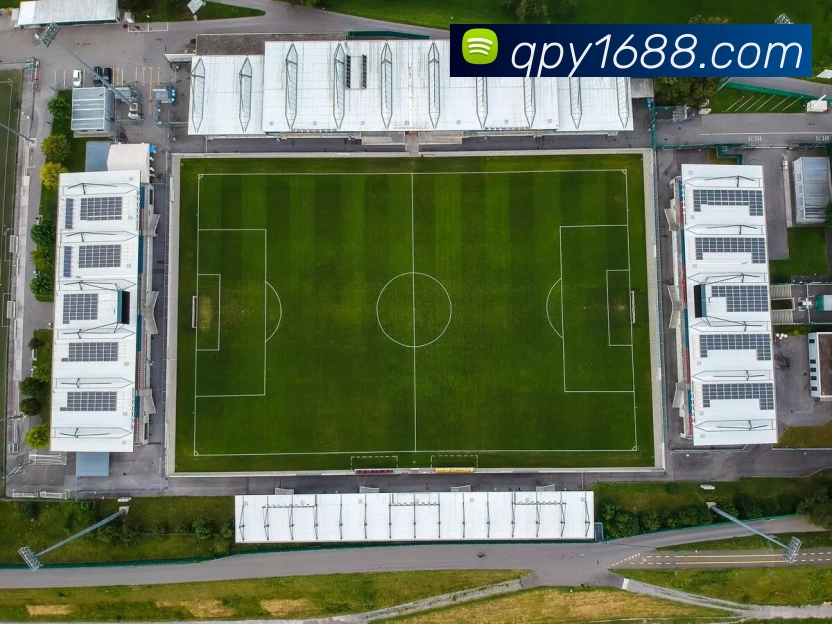 棋牌游官网APP 封面图